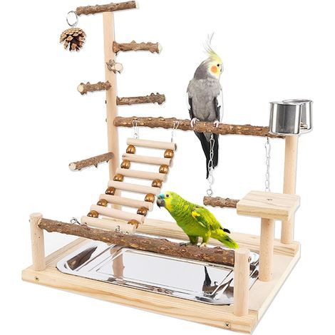 Bird Play Stand, Natural Wood with Ladder, Swing, Steel Tray, for Small to Medium Size Parrots (1/5)