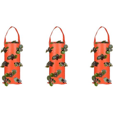 Lot de 3 sacs de culture suspendus respirants pour fraises, fleurs, pommes de terre et autres plantes (B) (1/4)