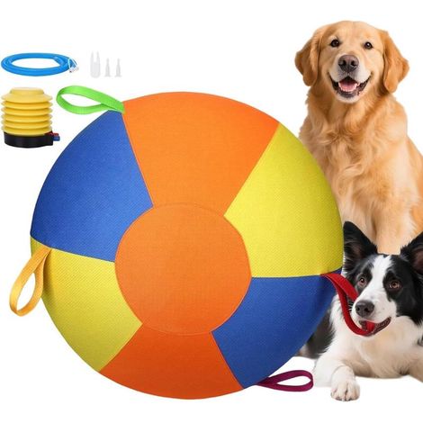 Balle gonflable d'entraînement pour chiots, balle géante pour chien, adaptée aux jardins et aux parcs, 25 cm. (1/5)
