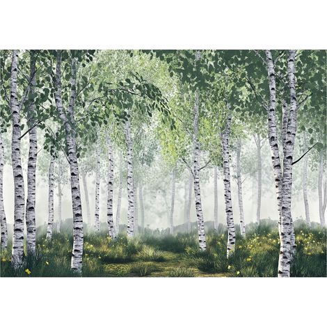 Papier peint panoramique forêt de bouleaux 3D nature 400x280 cm mural salon chambre grand format (1/5)