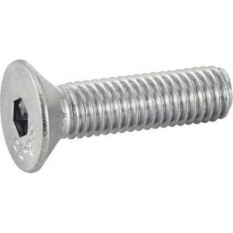 Tornillo avellanado Euromarine iso 10642 acero inoxidable 8x40 mm