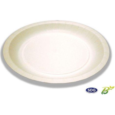 Assiette Ronde Carton 23 cm - SDG - Lot de 500