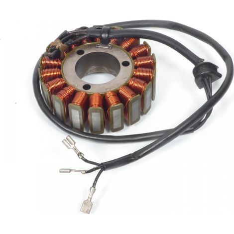 [PRODUIT D'OCCASION] Alternateur origine pour Moto Suzuki 1100 GSX Occasion (1/2)
