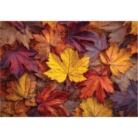 Fototapete Blätter Herbst Natur – Moderne Großformat Wandtapete 150x105 cm – Für Wohnzimmer & Schlafzimmer