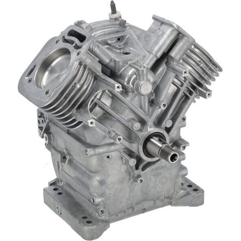 Ensemble bloc moteur BRIGGS & STRATTON 80083857 (1/4)