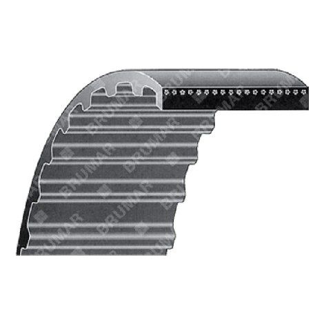 Cinghia DENTATA sezione AX 46 pollici MULTIMARCA COMPATIBILE - 019436