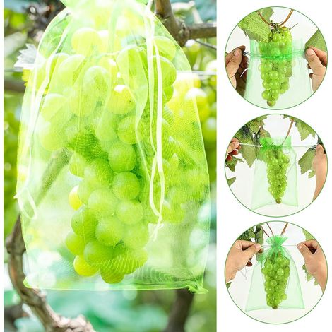 Sac de Protection de Raisins, 50Pcs Sac de Protection de Grappes,17 x 23 cm, Sachets de Protection pour Plantes, Sac en Organza avec Cordon de Serrage pour Fruits(Vert) (1/5)