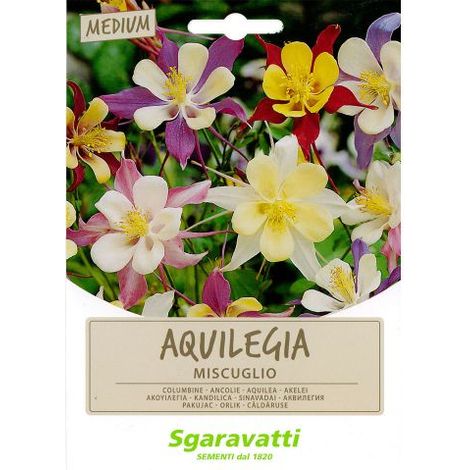 SEMI PER PRATO UNIVERSALE aquilegia miscuglio 20 PZ