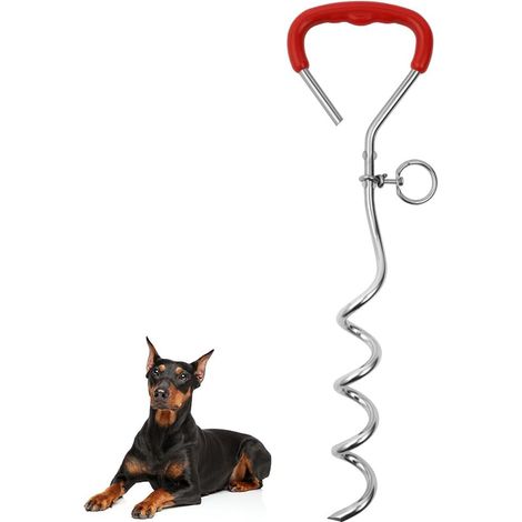 Piquet Ancrage pour Chien, 3m/6m Piquet d'Ancrage Spirale pour Chien, Sardines de Fixation pour Chien, Chaîne pour Chien d'extérieur, Ancrage au Sol pour Petits, Moyens et Grands Chiens (1/5)