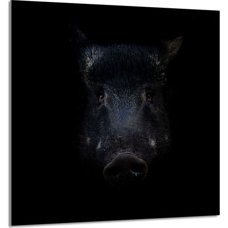 GLASPLATTE FÜR KÜCHE 60x65 Wildschwein (1/5)