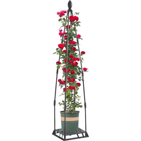 Treillis pour grimpantes - Support en métal pour d'intérieur - Cadre Stable (1/5)