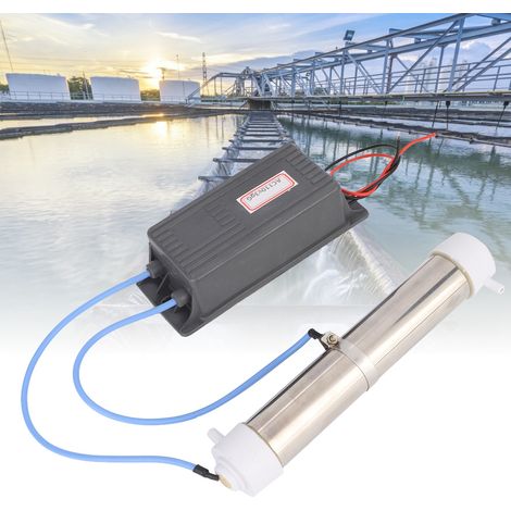 Ortviai Générateur d’ozone 3 g/h pour station d’épuration, tube à ozone 110 V CA, acier inoxydable (1/3)