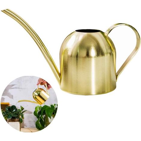Gießkanne aus Edelstahl, kleine Gießkanne mit langem Ausguss für Zuhause, drinnen, draußen, Garten, Sukkulenten, 450 ml (gold) (1/4)