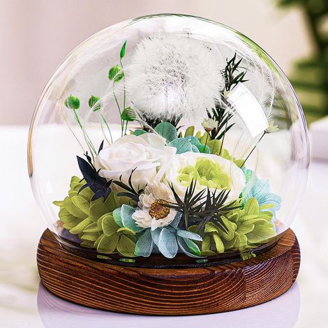 Idée Cadeau Pissenlit en Verre pour Femme, Petite Amie, Sœurs, Maman, Grand-Mère, Fleur sous Cloche, Cadeau de Réalisation de Souhaits, Encouragement pour Elle pour Noel, Saint Valentinla (1/5)