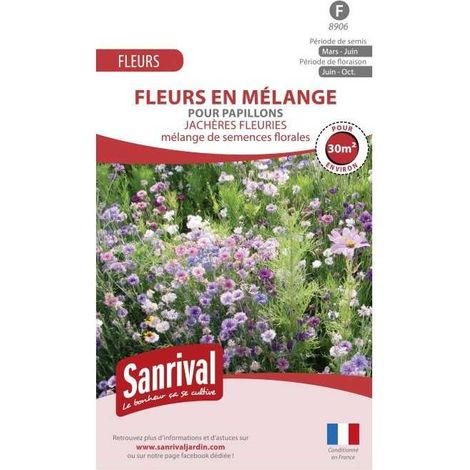 Jachère fleurie pour papillons