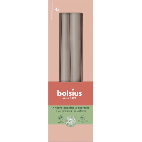 Bolsius Spitzkerzen helles taupe 24,5 cm Ø 2,4 cm 4 Stück Spitzkerze