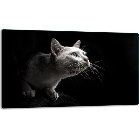 Schneidebrett aus Glas 52x30 CAT (1/5)