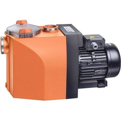 Poolpumpe Speck BADU 40/11 Wechselstrom 230 V (1/2)