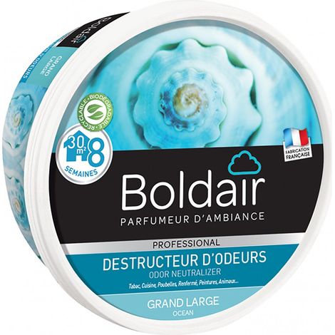 Destructeur d'odeurs Boldair bloc gel 300g océan (1/4)