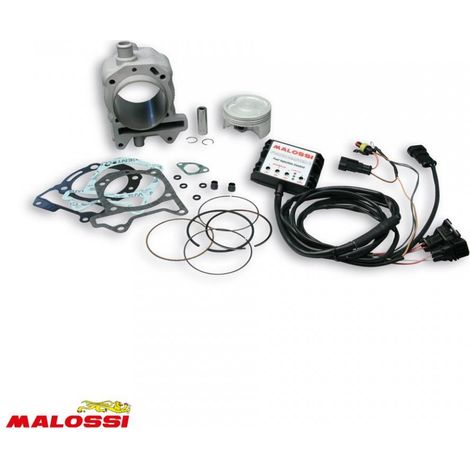 Cylindre Malossi pour Scooter Piaggio 125 Vespa Gts Super Ie