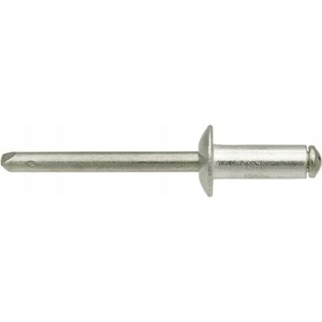 Rivetti ciechi in alluminio 3x10 1kg (1/2)