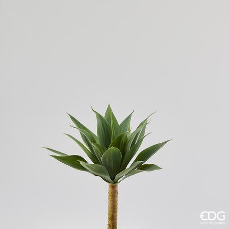 RAMO AGAVE H.48 VERDE