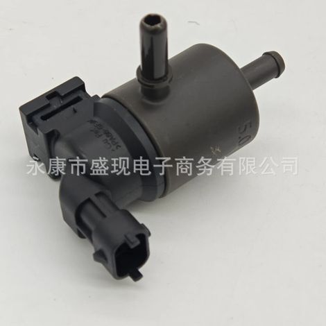 289102J301 28910-2J301 Geeignet für Aktivkohlefilter-Magnetventile in Hyundai- und Kia-Autoteilen (1/4)