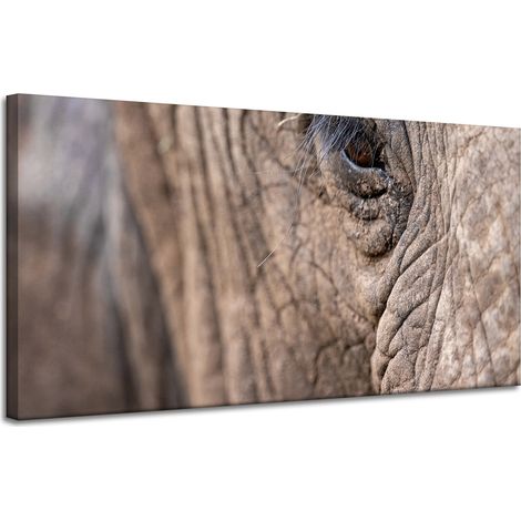 Lienzo impreso con la imagen de un ojo de elefante (120x60 cm).
