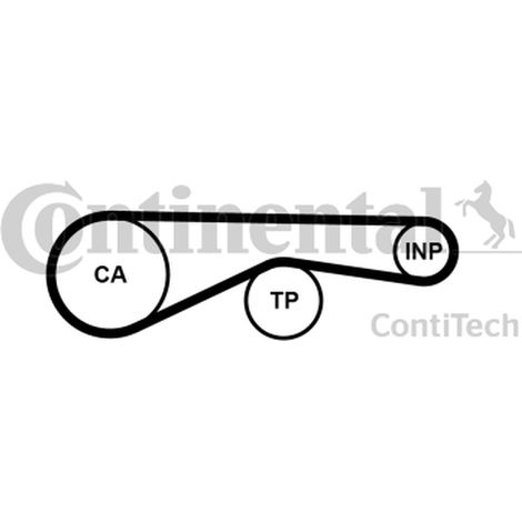 Courroie crantée Continental CT1095 AUDI 057109119F 057109119G