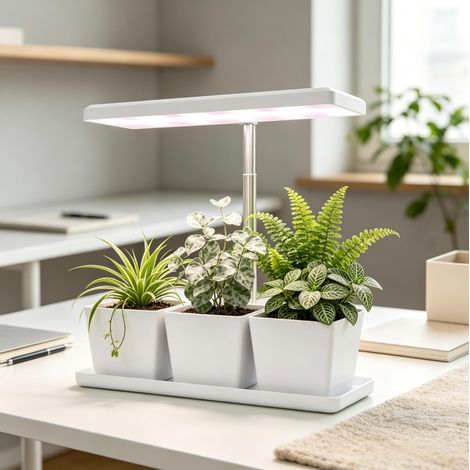 Lámpara LED para plantas 10 W de espectro completo con 3 macetas blancas OKWISH (1/5)