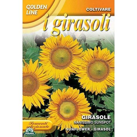 Sementi di Girasole Nanissimo sunspot giardino orto semi seeds fiori