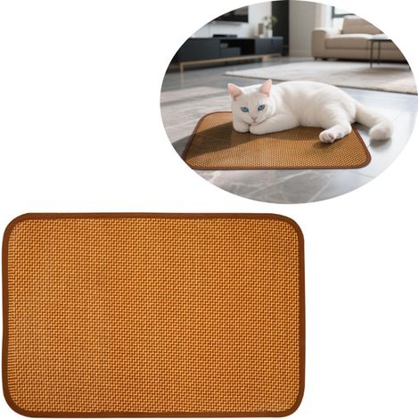 Tapis rafraîchissant pour chien - Tapis rafraîchissant durable pour animaux de compagnie - Tapis rafraîchissant pour chiens et chats - Tapis d'été pour chiens - Tapis rafraîchissant pour animaux de co (1/5)