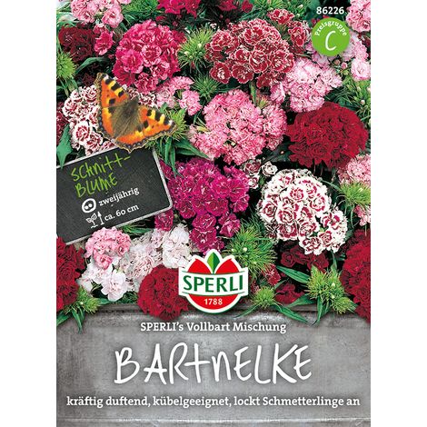 Sperli Bartnelken SPERLI´s Vollbart Mischung - Blumensamen (1/2)