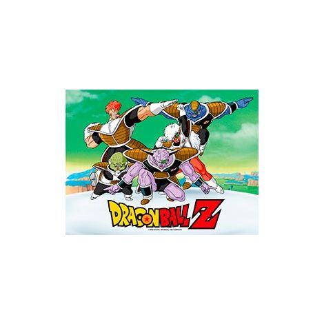 sd toys Poster Cristal Special Forces Glass Poster 40X30 Dragon Ball Z Official Merchandising