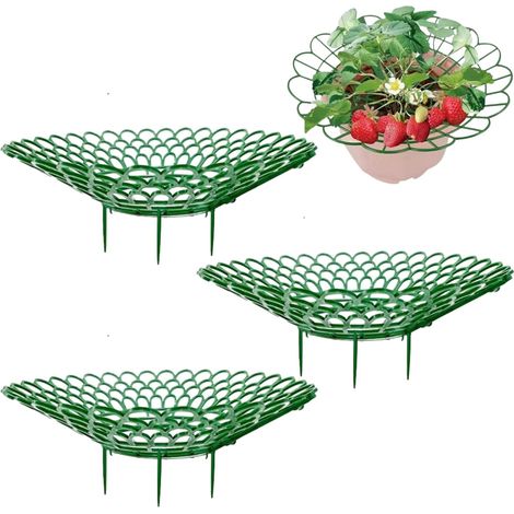 Paquete de 3 soportes para fresas, soportes para fresas, soporte para fresas de jardín, soporte para cultivo de fresas, soportes para cultivo de fresas en abanico, soporte protector para fresas (1/5)