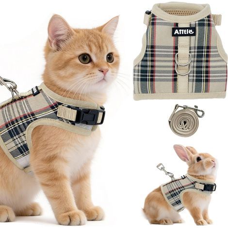 Set of Adjustable Harness and Leash, Soft Mesh, Tartan Pattern, for Rabbit, Cat, Puppy (1/5)