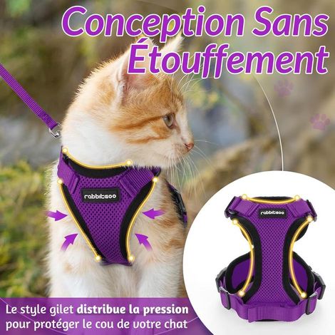 Harnais pour chat Rabbitgoo XS violet, ajustable et anti-fugue, gilet respirant avec bandes réfléchissantes et laisse (1/5)