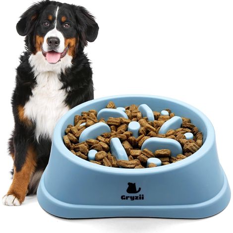 1 Gamelle Anti Glouton, Picots Intégrés, Pieds Antidérapants, Pour Grand Chien (1/5)