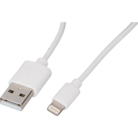 Cable usb-a a lightning 1,2 m blanco (1/4)