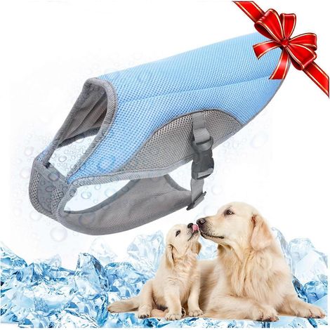 Gilet rafraîchissant pour chien, veste en maille respirante, manteau d'été frais et confortable, ajustable avec bande réfléchissante. (1/5)
