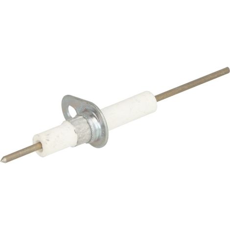 DWS euro-gas Electrode d'ionisation