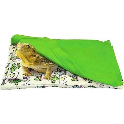 Lit pour dragon barbu avec oreiller et couverture, sac de couchage doux et confortable