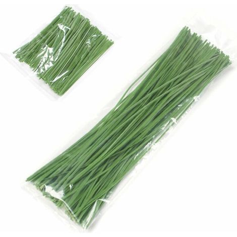 200 attaches pour plantes, attaches vertes réglables pour jardin, sangles d'attache pour plantes de jardin, pour la fixation des plantes, fil de ligature (30 cm, 10 cm) (1/4)