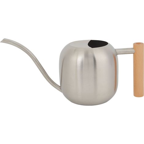 Arrosoir multifonctionnel de grande capacité avec long bec pour plantes d'intérieur et d'extérieur, couleur argentée, 1200 ml. (1/5)
