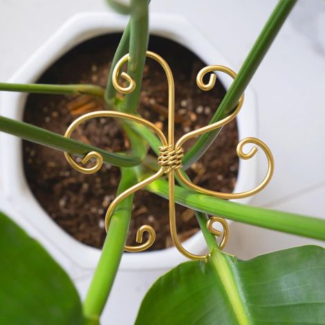 Lot de 5 tuteurs pour Monstera – Supports de tige robustes favorisant une croissance saine, stabilisateurs pour feuillage, adaptés aux plantes d'intérieur et faciles à utiliser (1/5)