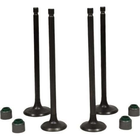 Joints de queue de soupape de moteur de moto adaptés aux modèles BAJAJ PULSAR NS160 et NS150. (1/3)