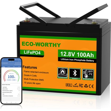 ECO-WORTHY LiFePO4 Akku 100Ah Bluetooth, Lithium Batterie 12V 100ah mit 100A BMS Low Temperature Schutz und Max. 15000 Zyklens,1280Wh Autobatterie für Wohnmobil,Boot,Solarpanel