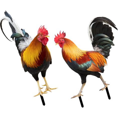 Acryl Hahn Modellierstecker 2 Stück Gartenornament Für Hof