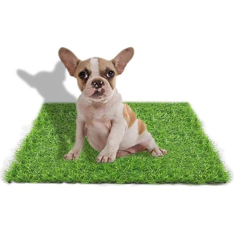 50  60CM Gazon Synthetique Chien- Tapis Herbe Chien-Gazon Synthetique Exterieur-Gazon Artificiel Chien- Fausse Herbe pour Chiens-Peut être Utilisé à l'intérieur ou à l'extérieur (1/5)