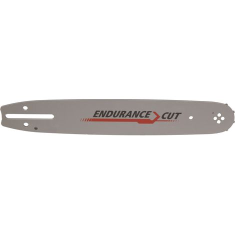 Guida in GRANITO 25 cm 3/8 pollici 1,3 mm 100SDEA041 (1/2)